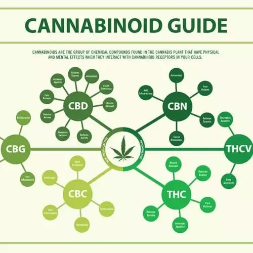 Cannabinoid guide