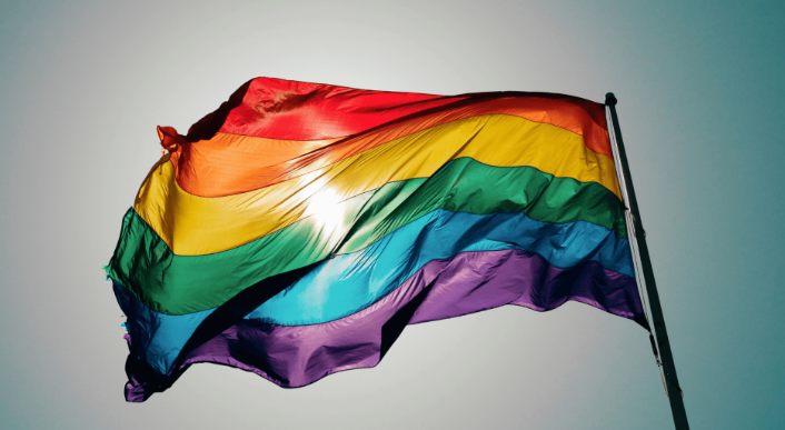 Celebrating Pride Month at Fine Fettle