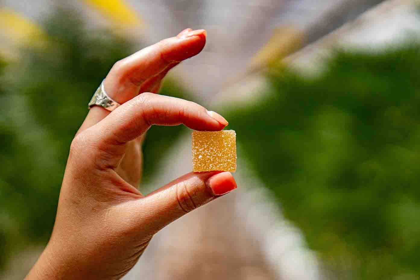 Hand holding edible cannabis gummy