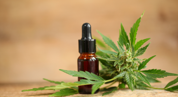 Cannabis in Georgia