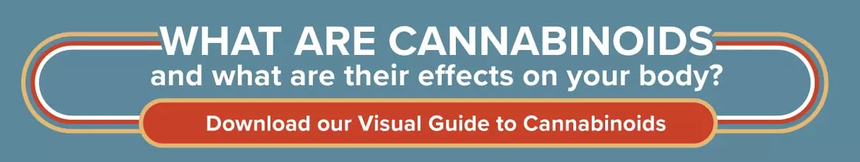 Download the visual guide to cannabinoids
