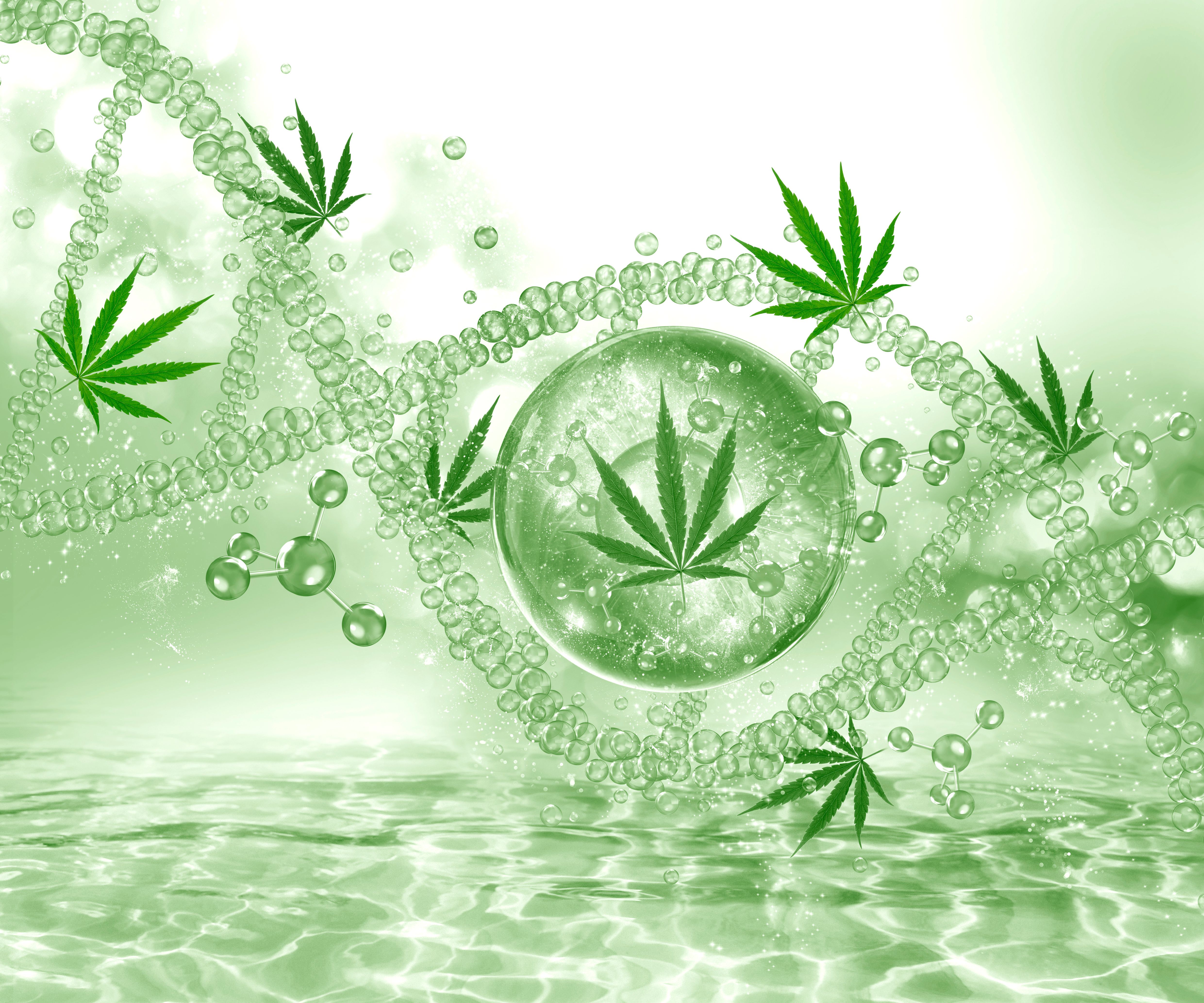 Cannabis molecule with bubbles and cannabis leaves