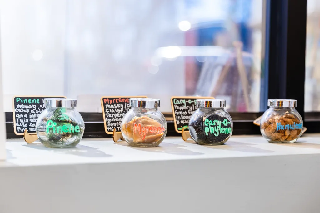 Jars on a shelf in front of a window with terpene names written on them