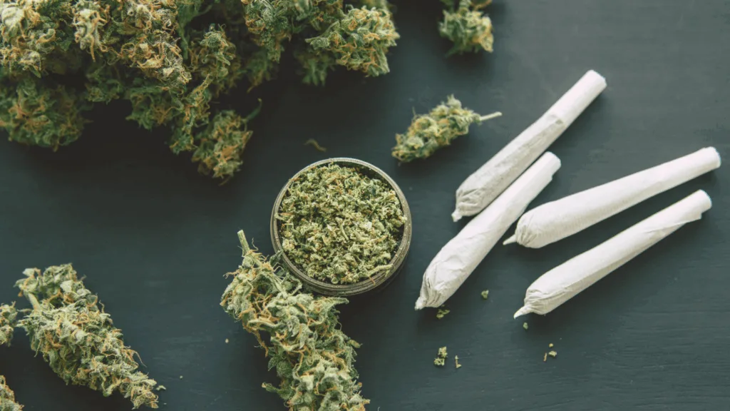 Loose cannabis buds, a grinder with ground cannabis, and three rolled joints are arranged on a dark surface.
