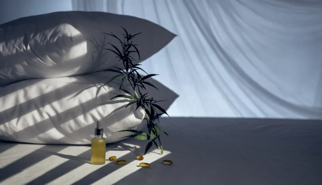 Pillows with cannabis oil capsules and a cannabis branch