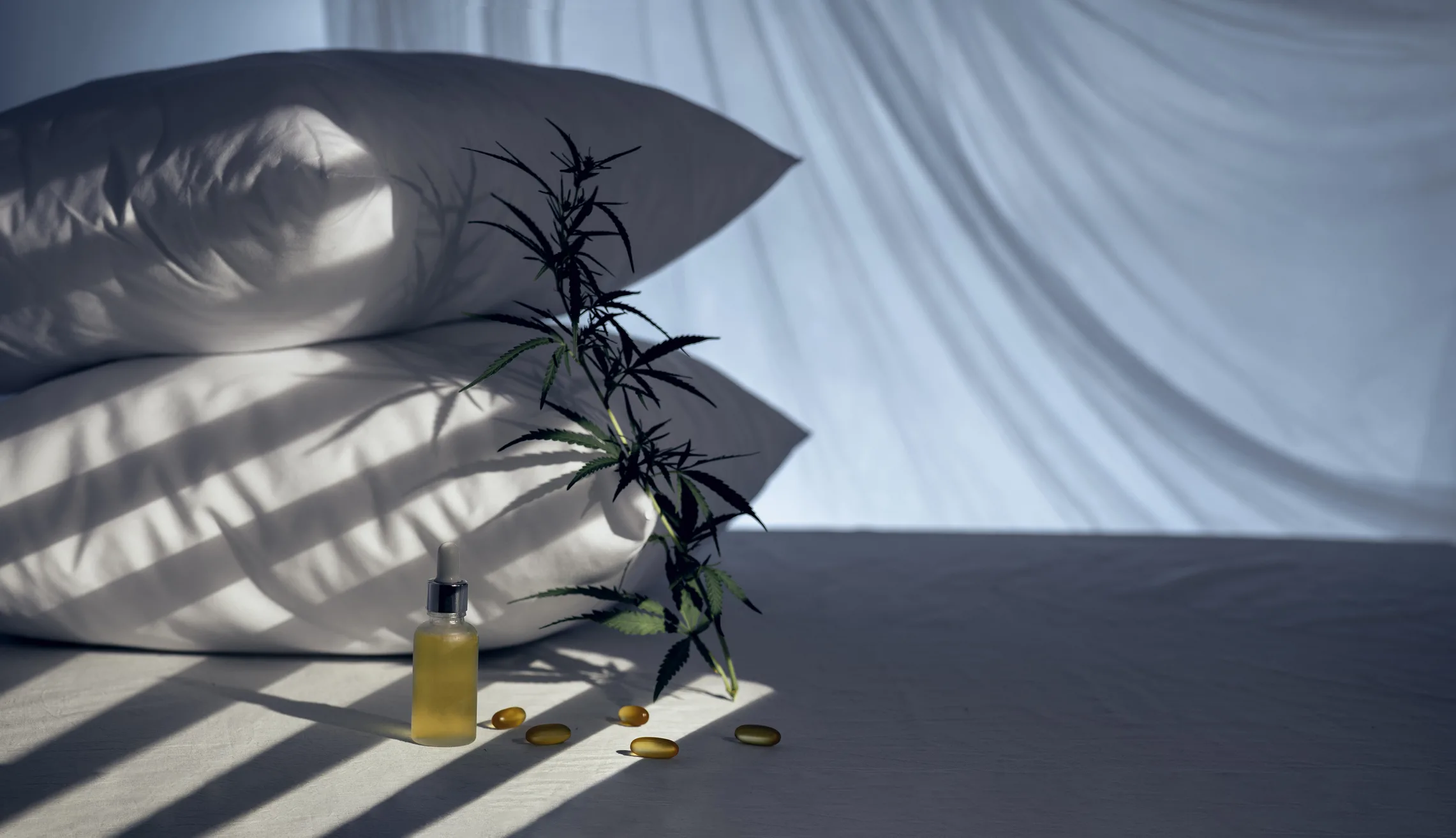 Cannabis for Sleep: How it Can Help and the Cannabinoids and Terpenes That Matter