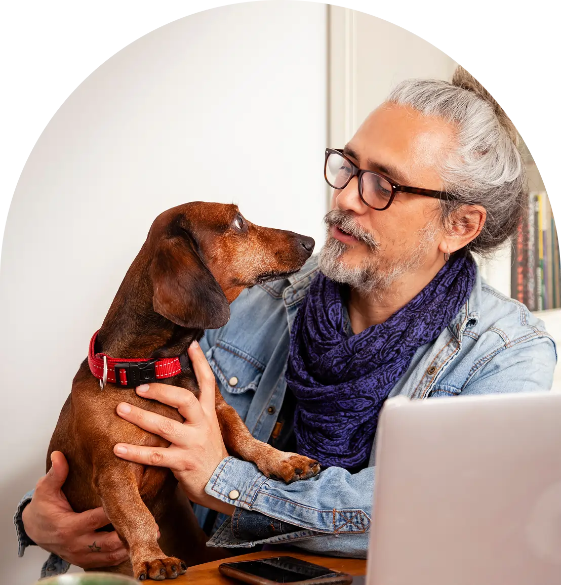 A man with gray hair and glasses holds a brown dachshund in a red collar, sitting at a desk with a laptop, phone, and maps marking dispensary locations.