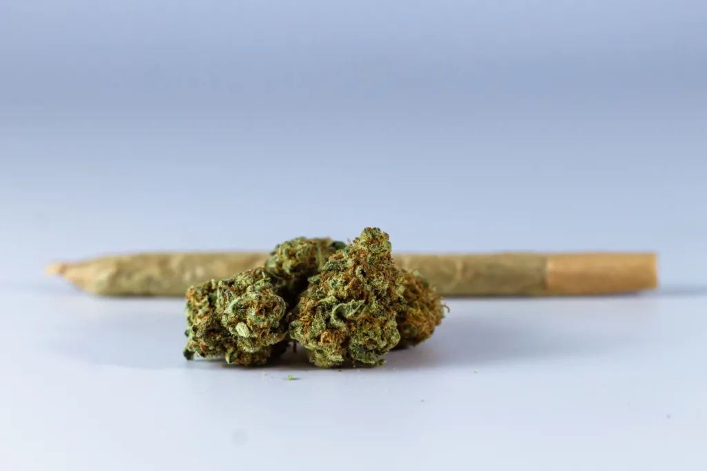 Three cannabis buds are placed on a white surface with a rolled joint lying horizontally in the background against a plain light backdrop.