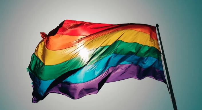 Celebrating Pride Month at Fine Fettle