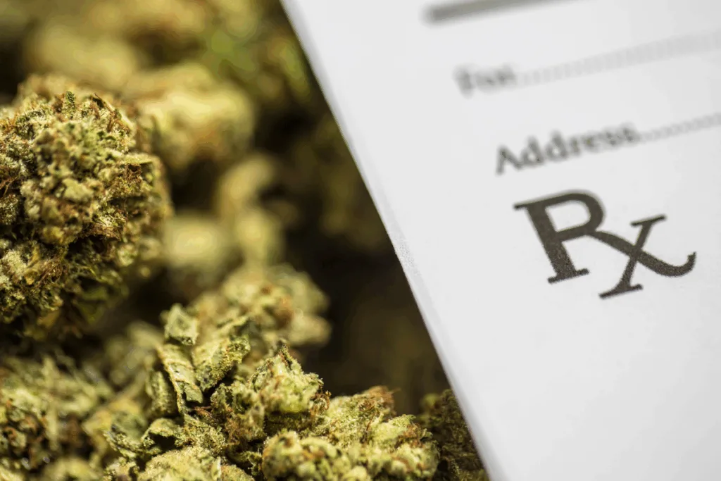 A pile of cannabis sits beside an RX prescription paper.