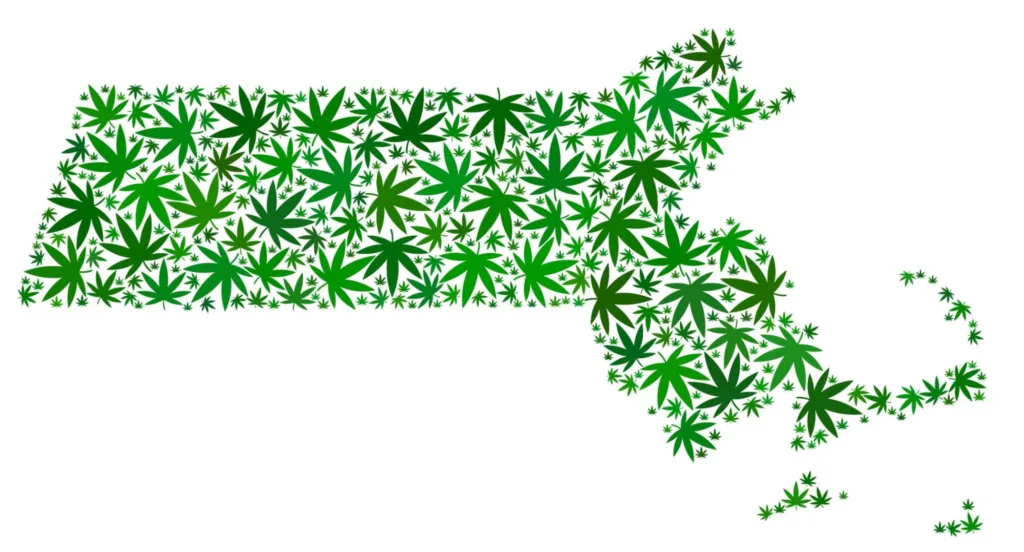 Map made of cannabis leaves.