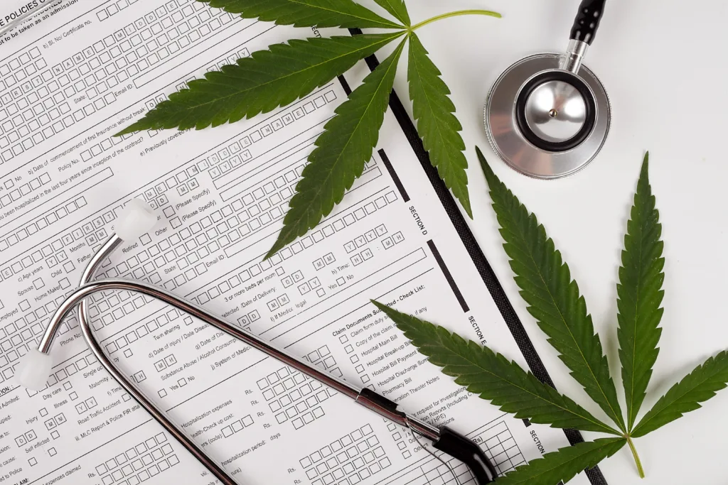 Medical forms with a stethoscope and green cannabis leaves placed on top, symbolizing the intersection of healthcare and medical marijuana.