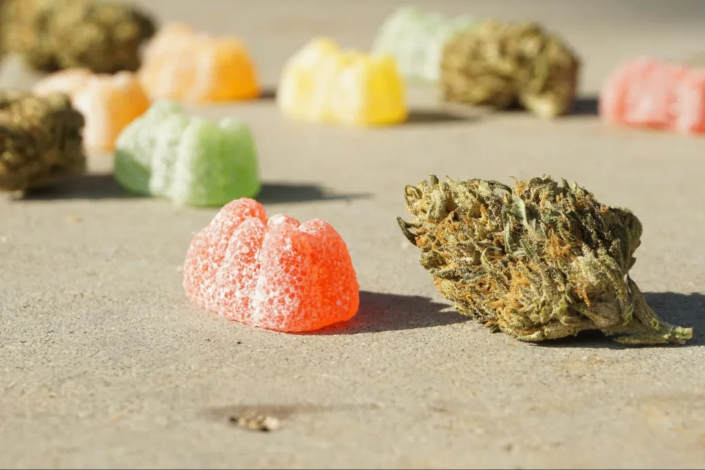 Individual cannabis buds and infused gummies sprawled out on a rough surface.