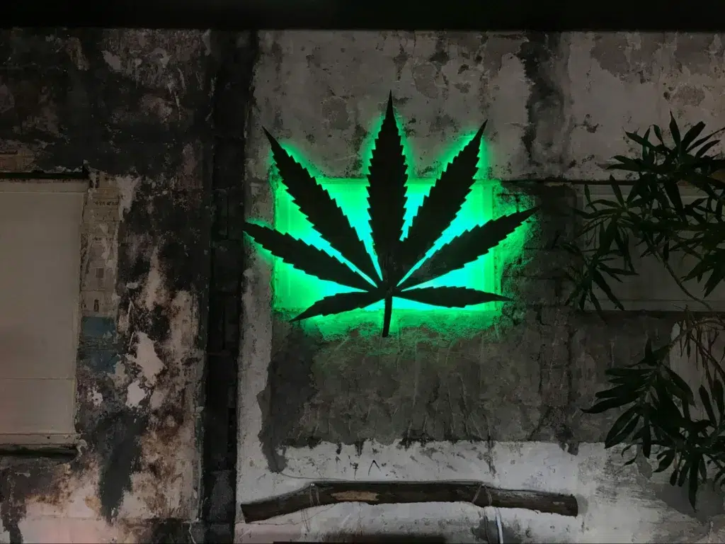 An illuminated cannabis leaf sign on a concrete wall.