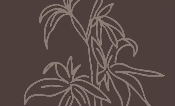 A minimalist line drawing of a plant with long, slender leaves on a dark brown background.