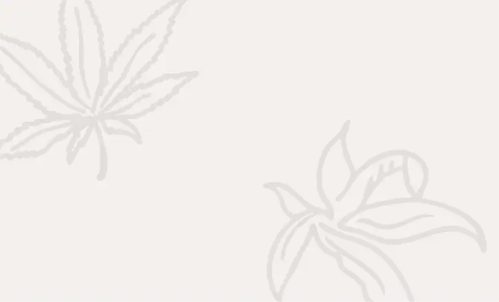 Light beige background with faint outlines of two leaves, one in the top left corner and one in the lower right corner.