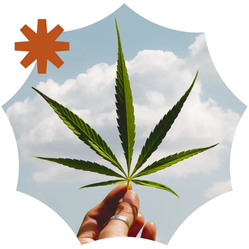 A hand holding a cannabis leaf against a blue sky with clouds, surrounded by a stylized white border and an orange asterisk shape in the corner.
