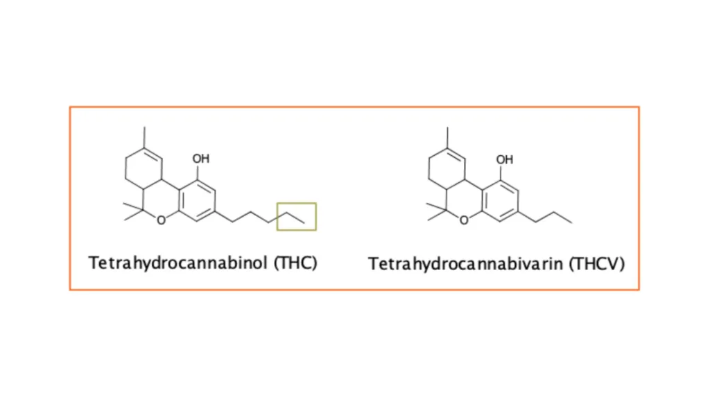Molecular structure comparison of THC and THCV