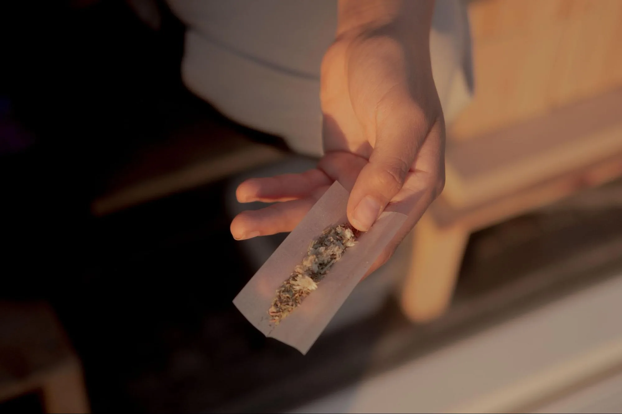 Fine Fettle Summer Guide: Cannabis Essentials for Beach Days, Backyards &amp; Beyond